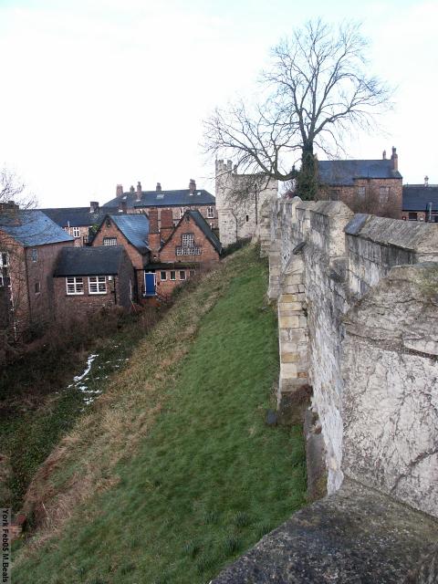 PICT5320-Looking_outside_the_wall