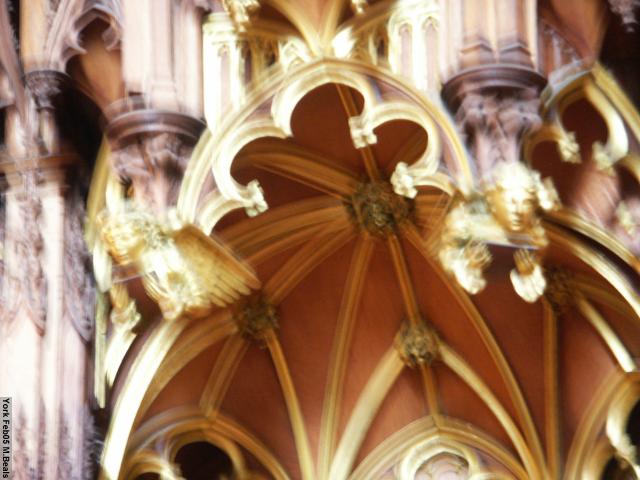 PICT5413-Quire_features